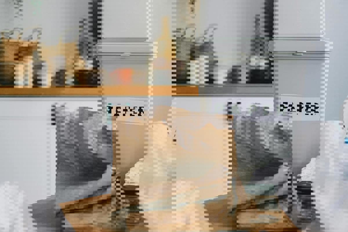 City Considers Ban on Single-Use Coffee Pods Amid Growing Waste Concerns