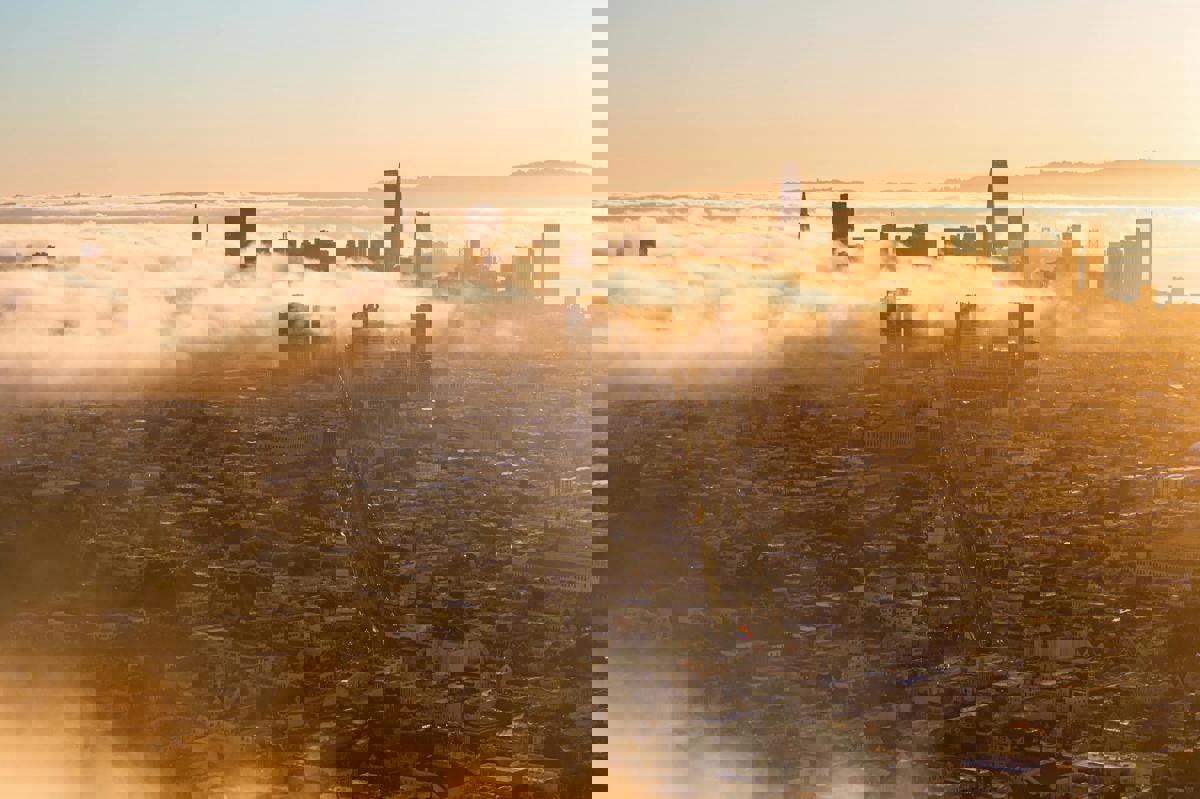 Pre-dawn Police Raid Sees RCMP Helicopters Hover Over Luxury High-Rise